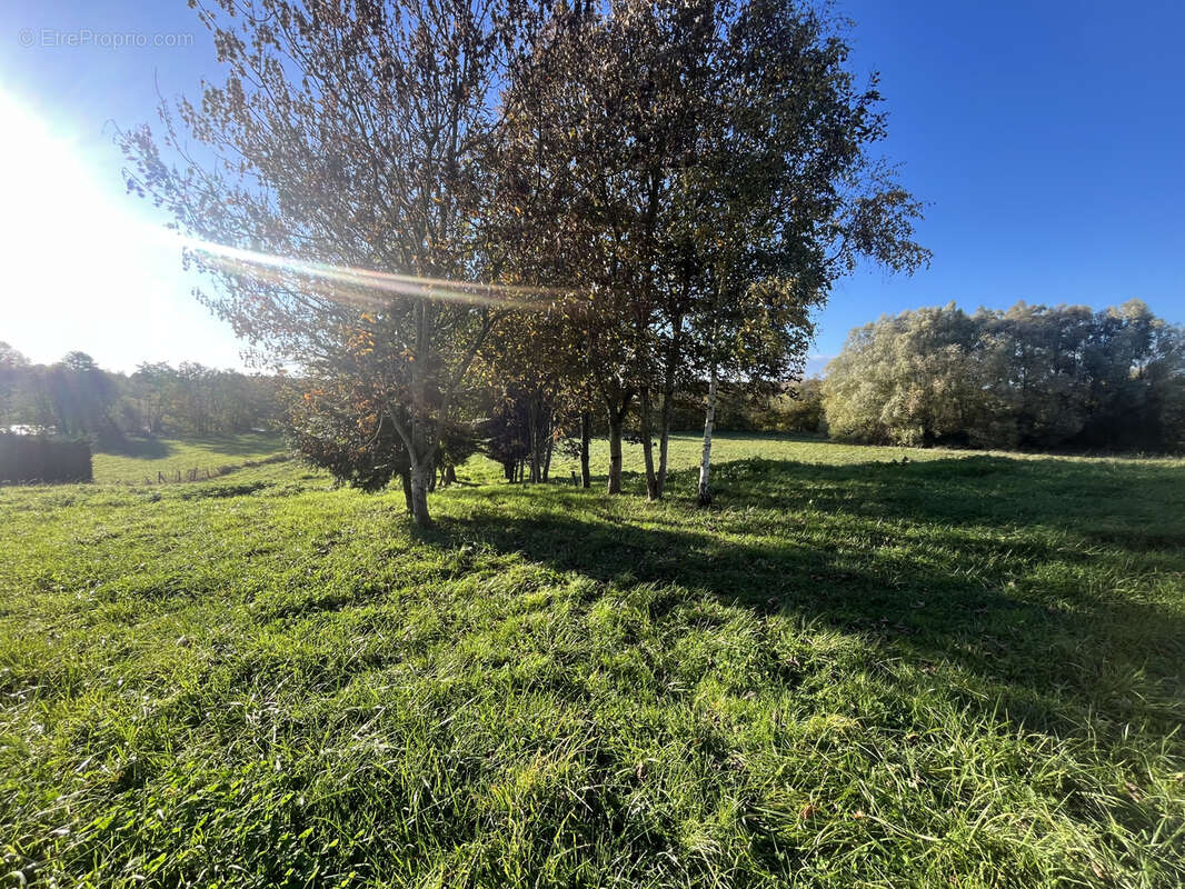 Terrain à AVOISE