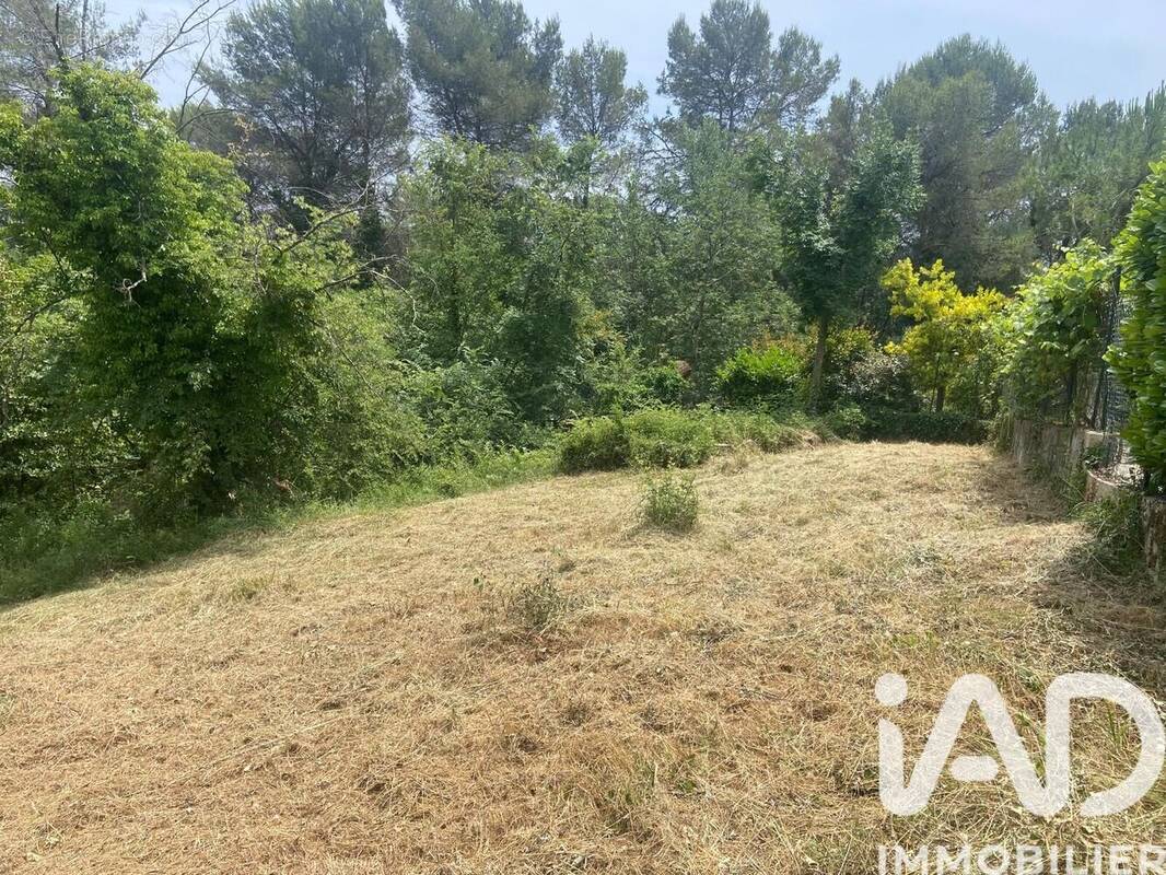 Photo 1 - Terrain à LA COLLE-SUR-LOUP