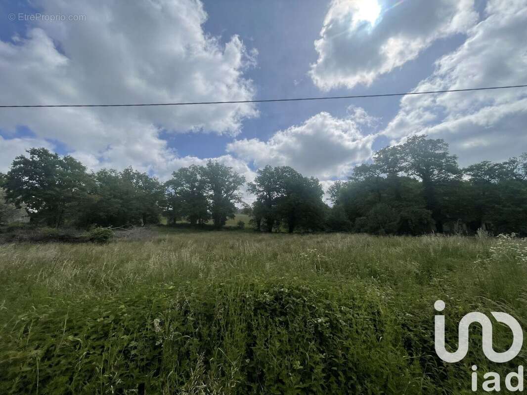 Photo 4 - Terrain à MONTROZIER