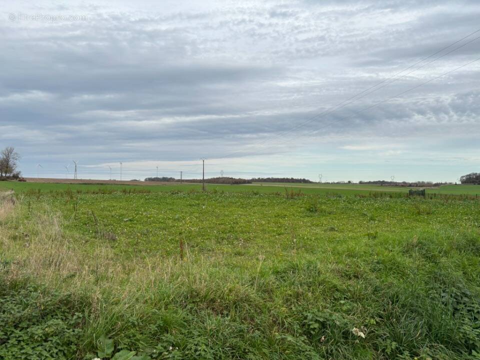 Terrain à BAILLEUL-AUX-CORNAILLES