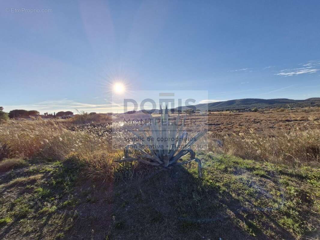 Maison à VIC-LA-GARDIOLE