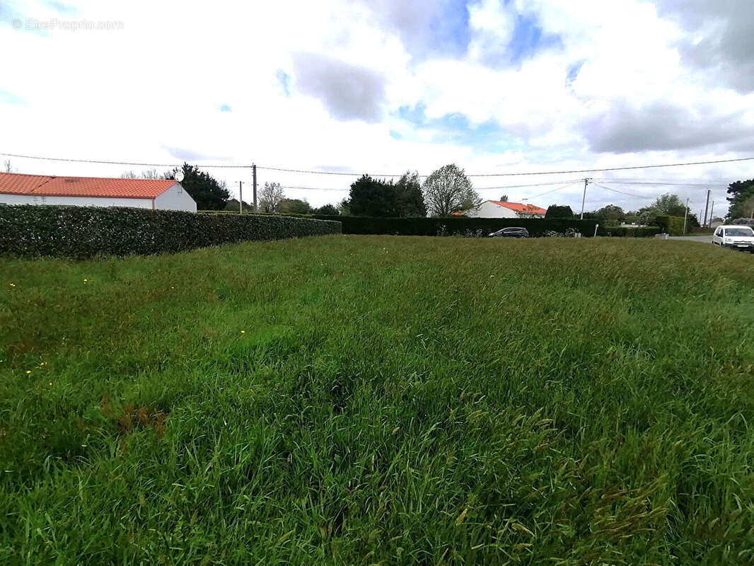 Terrain à COMMEQUIERS