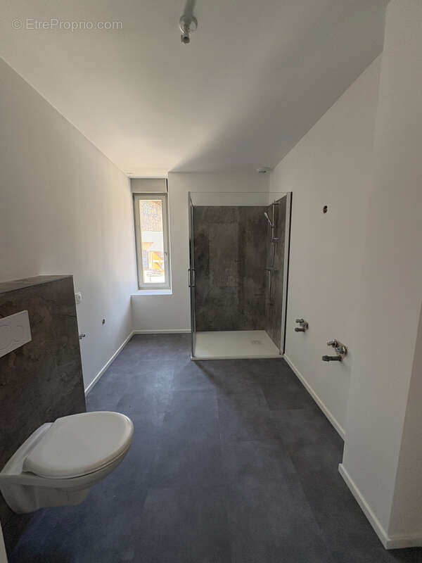 Appartement à LA CLUSE-ET-MIJOUX