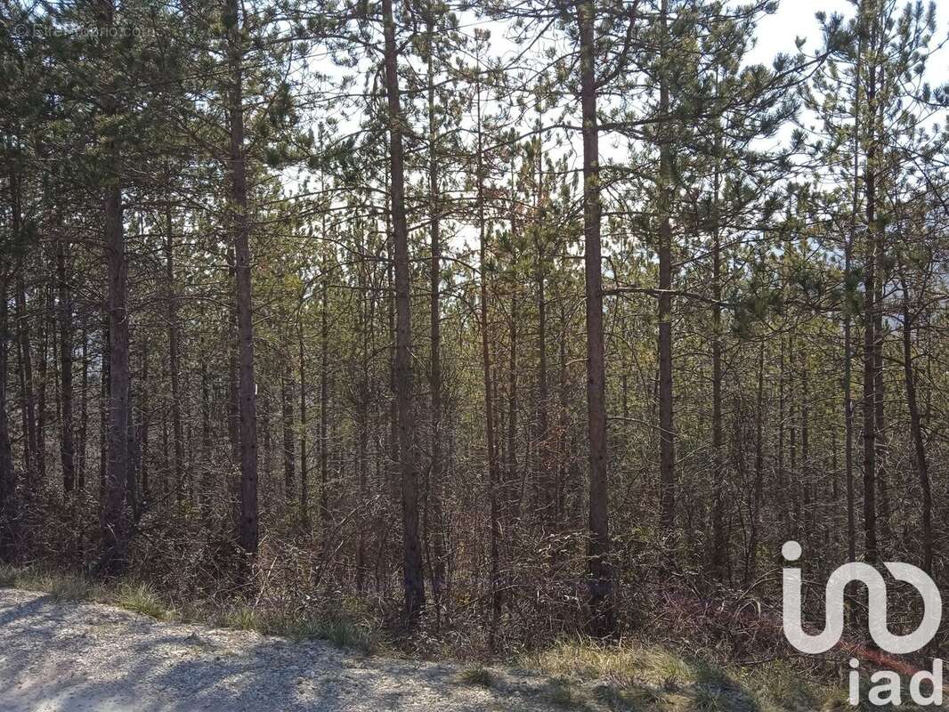 Photo 3 - Terrain à CONDORCET