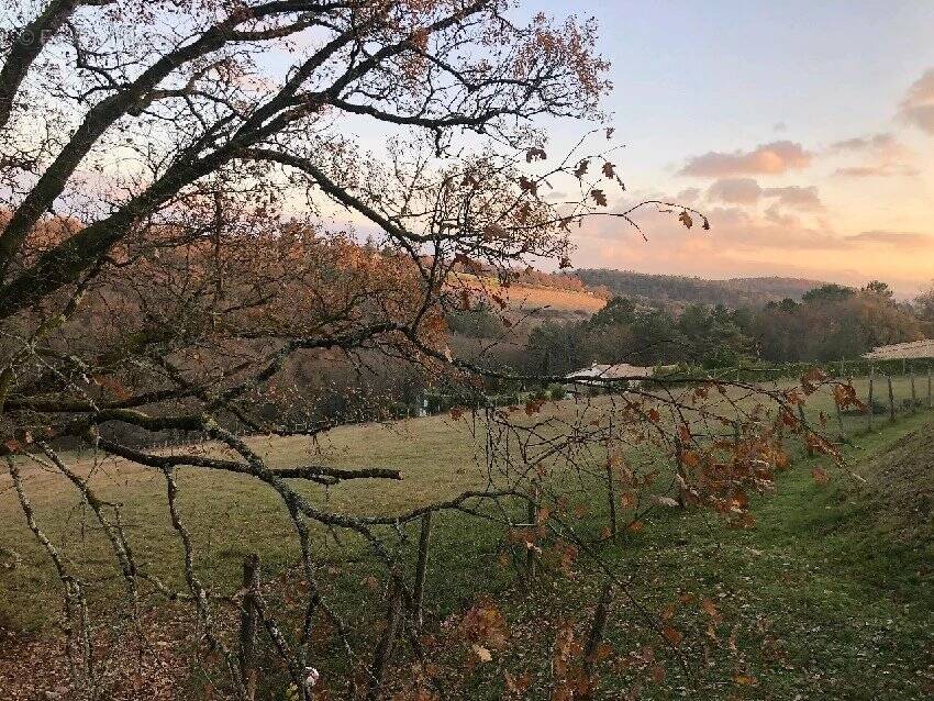 Terrain à TRELISSAC