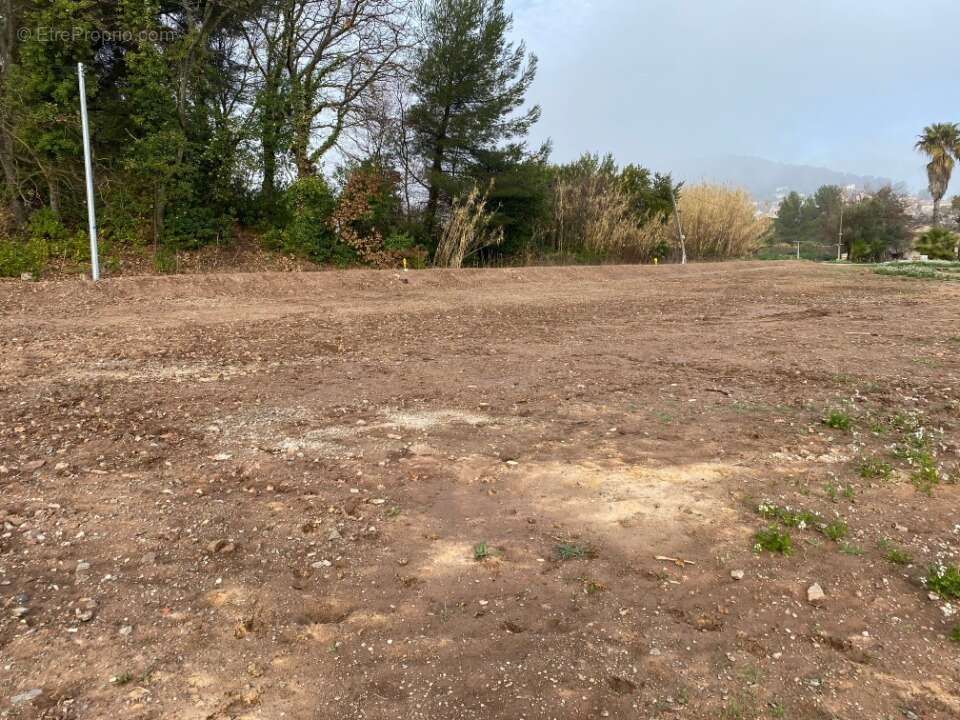 Terrain 338 m² à Carnoules  - photo 4