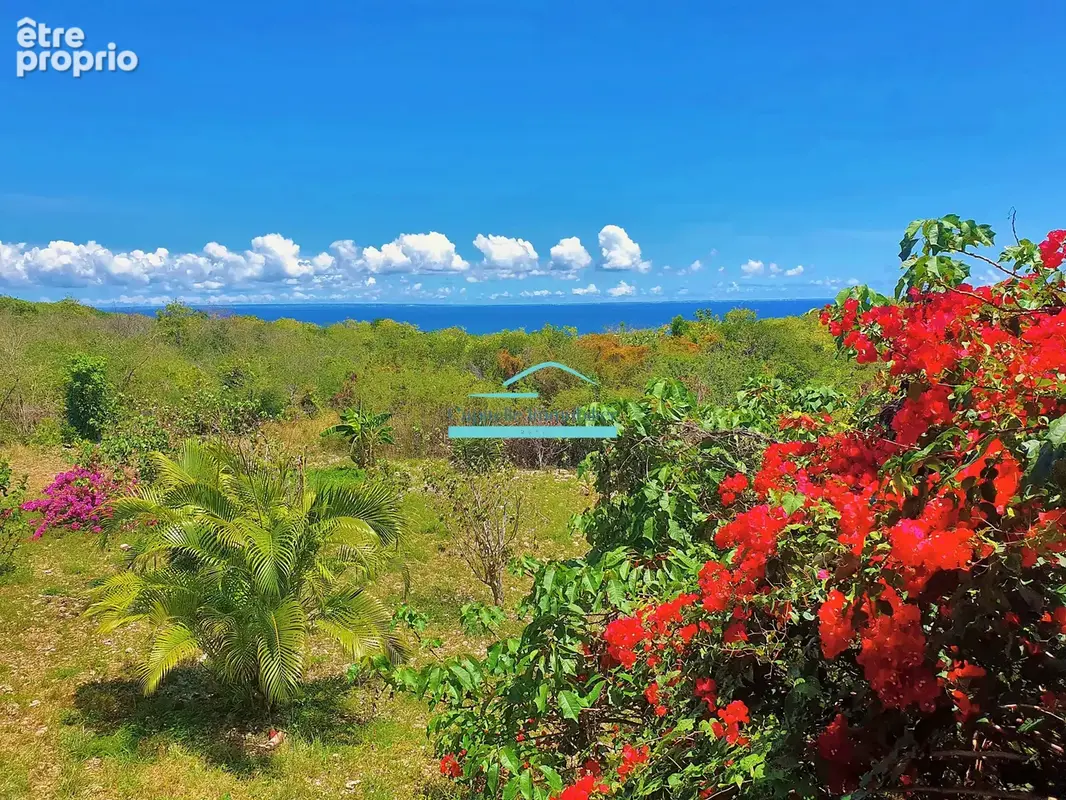 MARIE-GALANTE   Ensemble immobilier vue mer 180o : villa + 3 bungalows + terrain constructible - photo 27