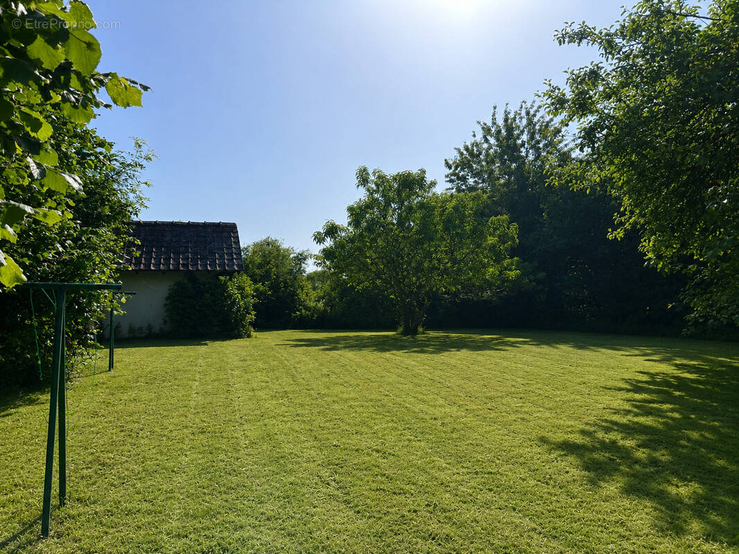 Photo 1 - Terrain à SOUPPES-SUR-LOING