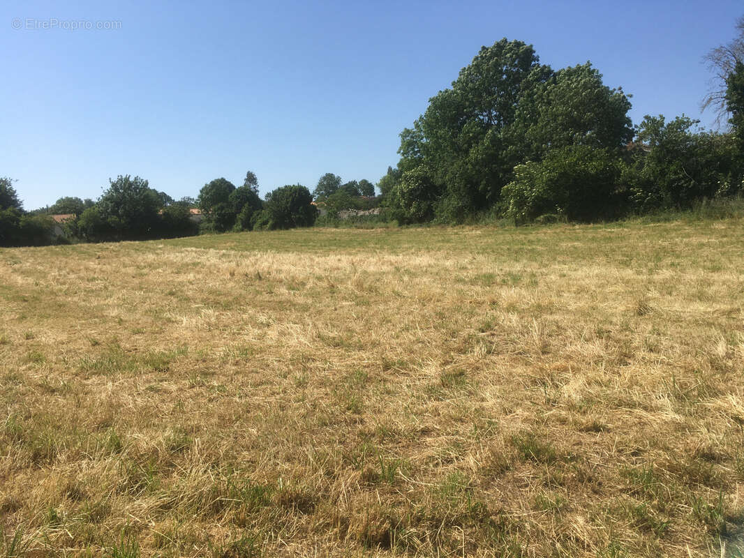Terrain à SAINT-POMPAIN