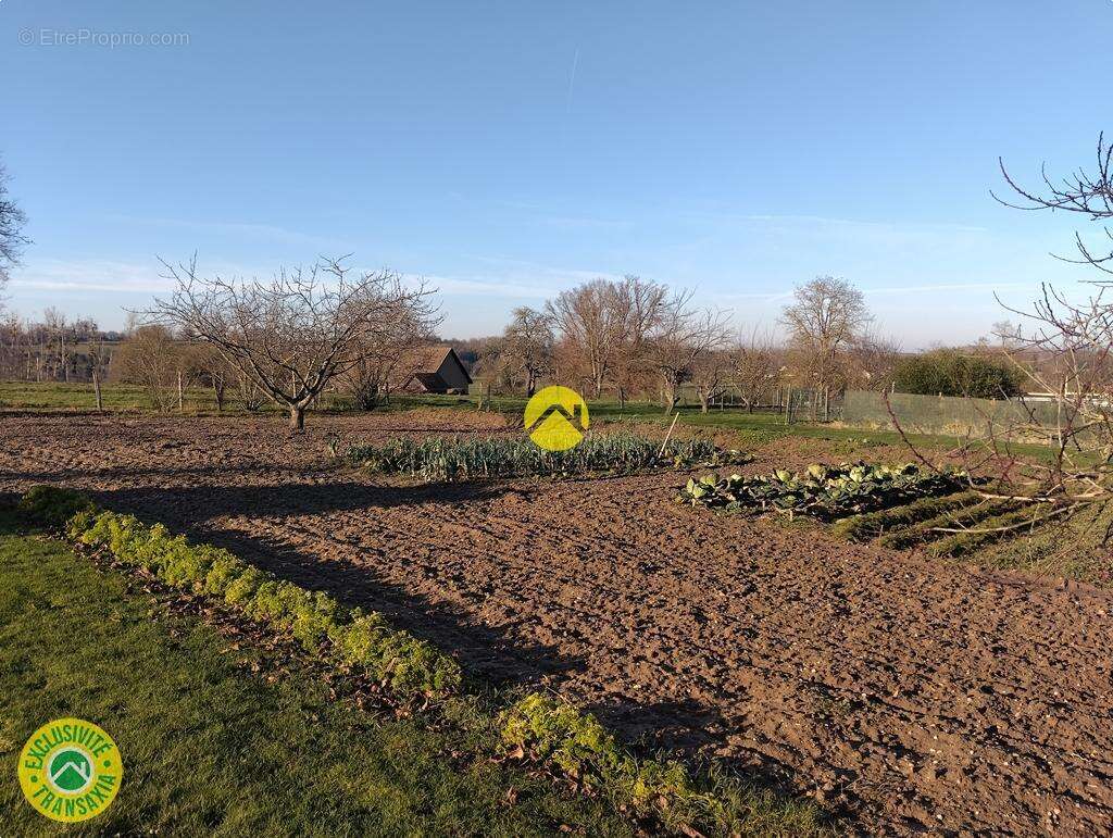 Maison à LE VEURDRE