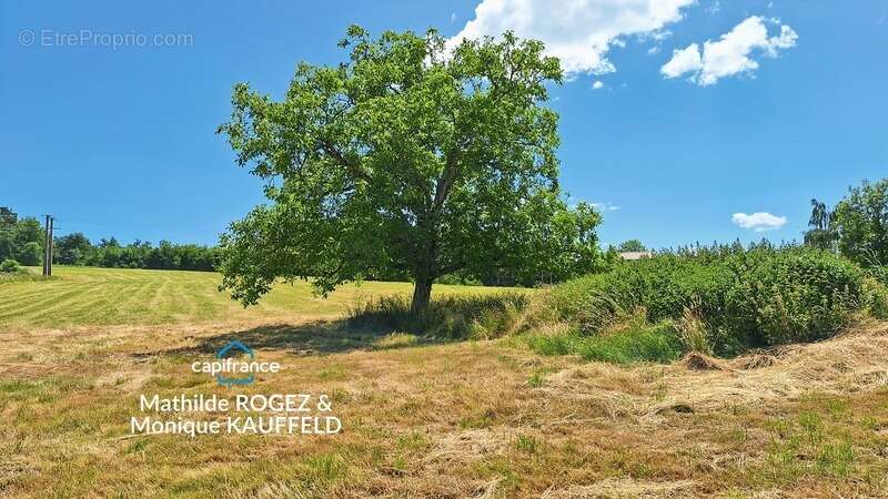 Maison à rénover avec grange en pierre, source et 7 000 m² de terrain - Saint Gervais Sous Meymont (63) - photo 3