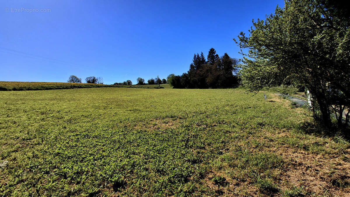 Terrain à TORCY-LE-PETIT