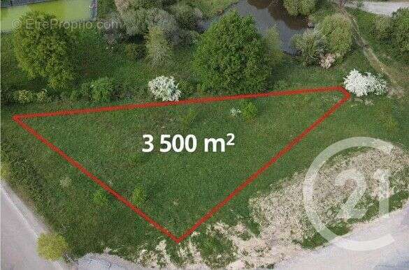 Terrain 3500 m² à Saint-Junien  - photo 2