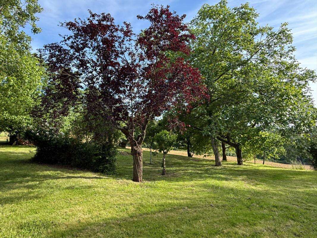 Maison à BEAUMARCHES