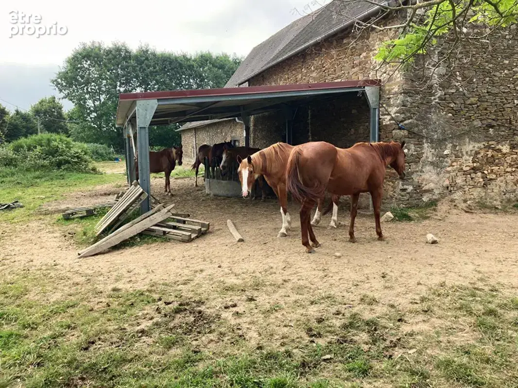 Propriete equestre à Jumilhac Le Grand - photo 3