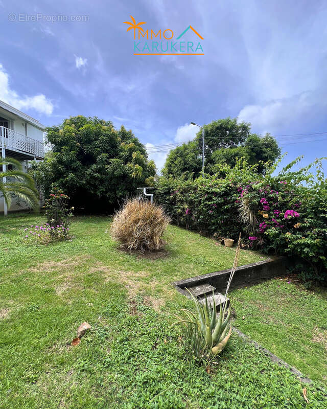 Immeuble à Basse-Terre (Investissement/ Résidence principale) - photo 4