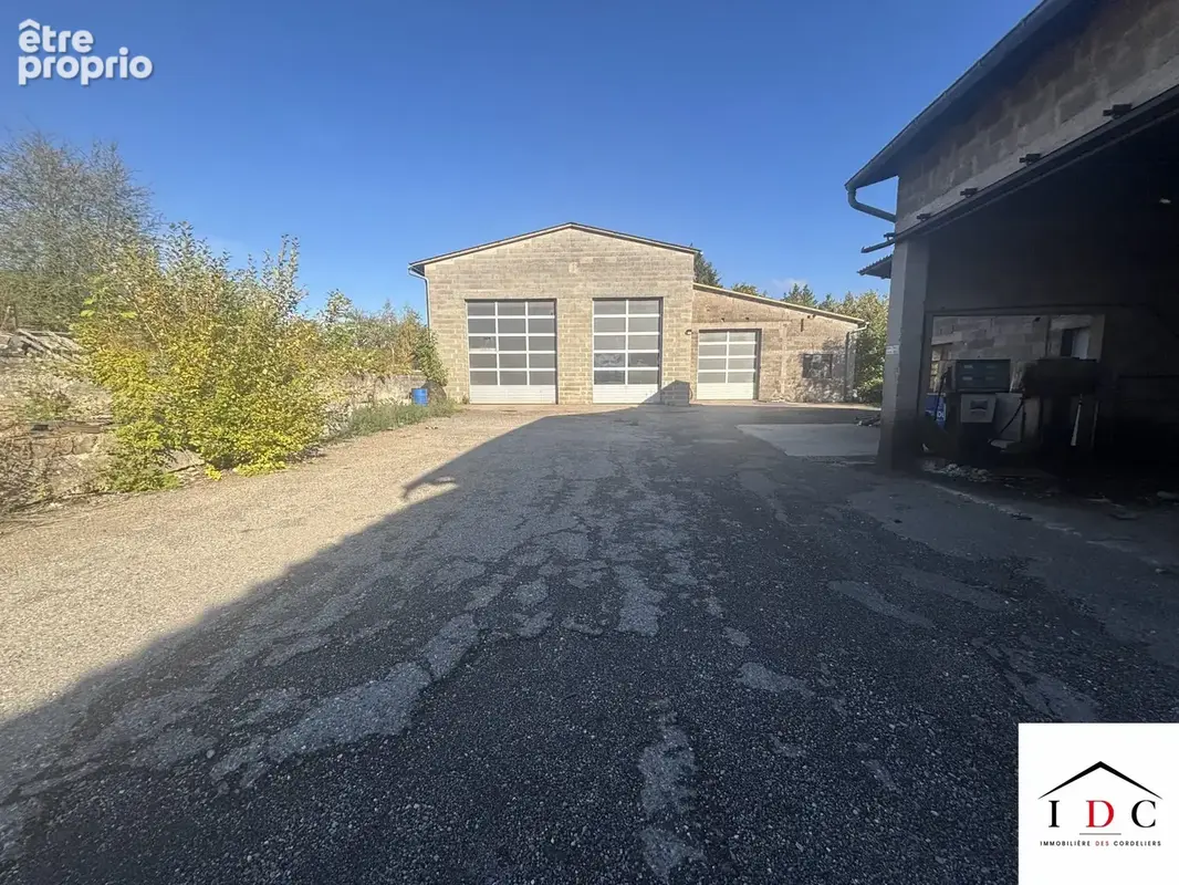 Maison 5 pièces 300 m² à vendre à Sarrebourg (57400) - photo 2