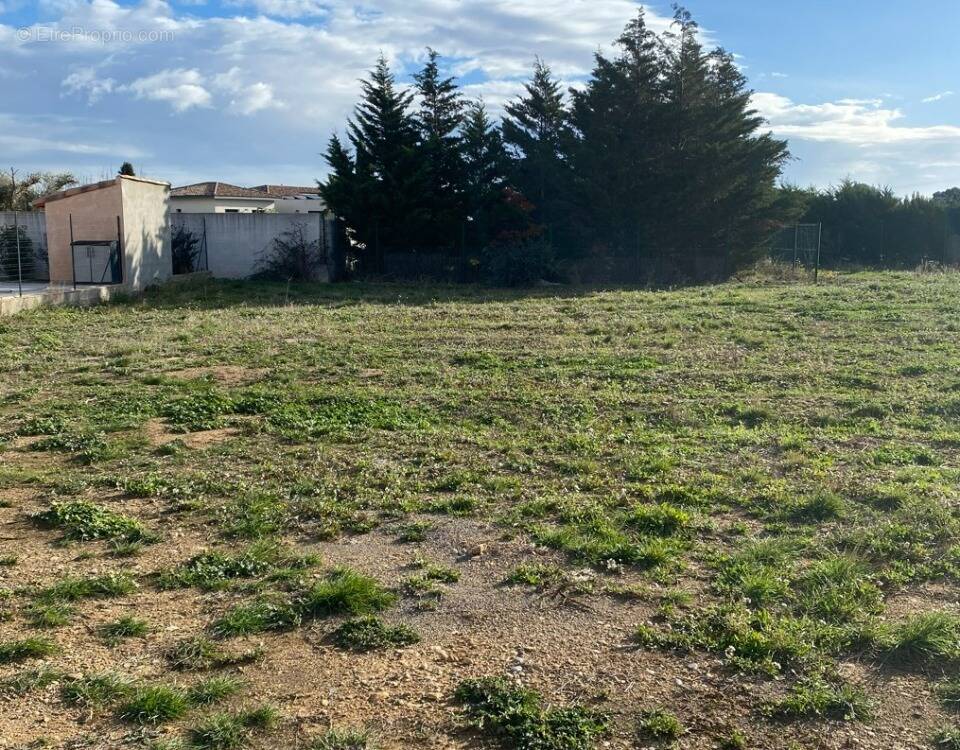 Terrain à ROUBIA