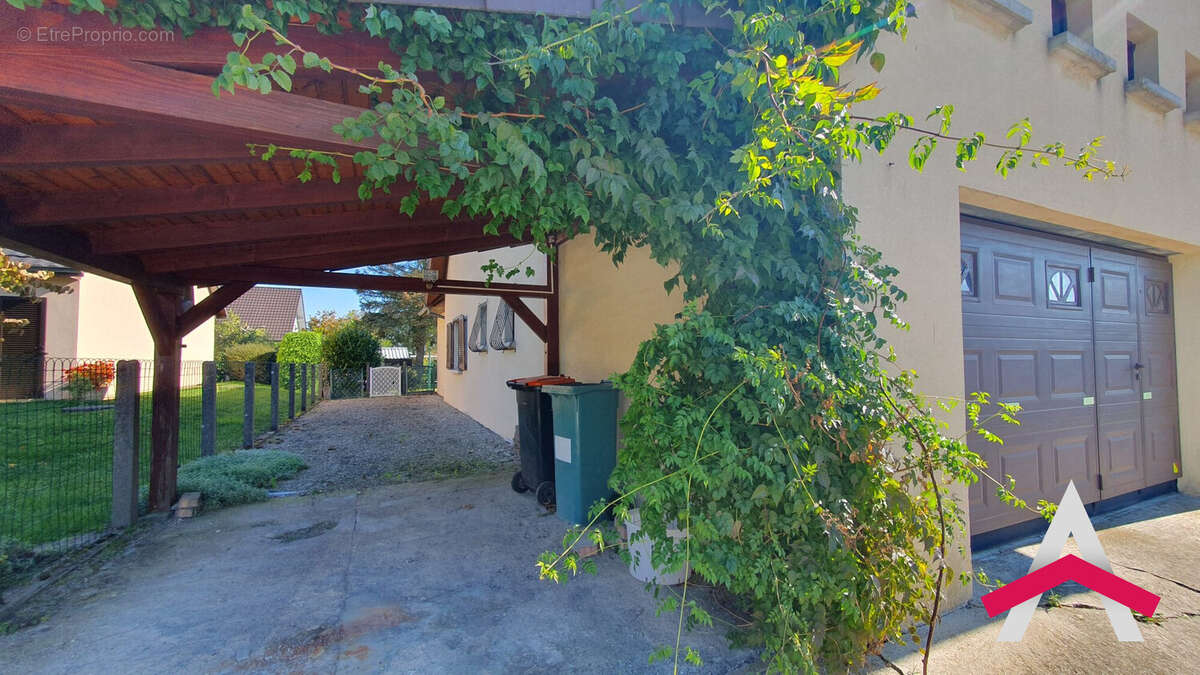 Maison à DANNEMARIE