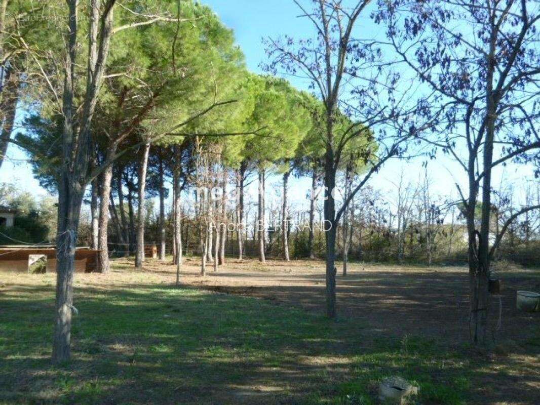 Maison à COLOMBIERS