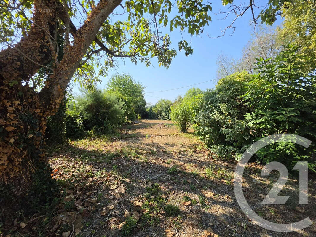 Maison 115 m² à Montesquieu-Volvestre  - photo 19