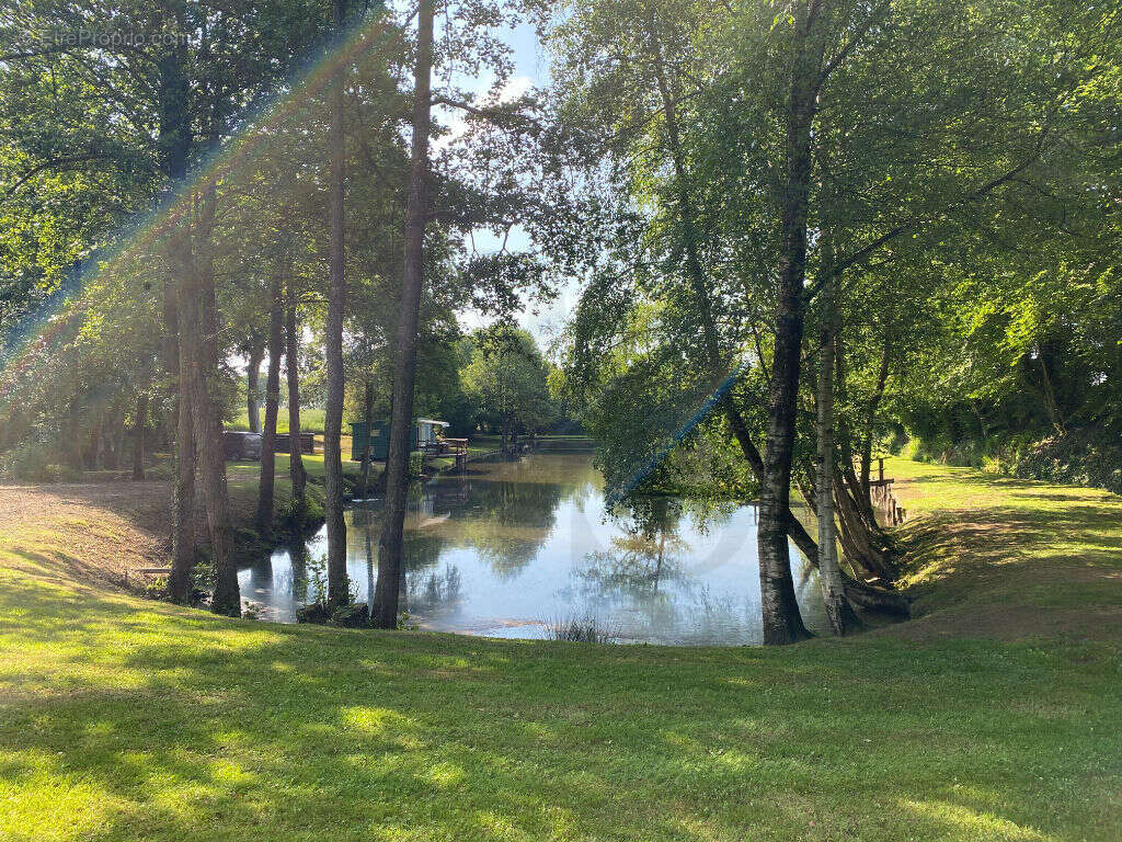 Terrain à LA FERTE-MACE