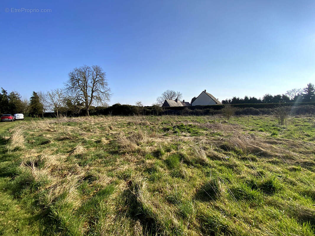 Terrain à BERNIENVILLE