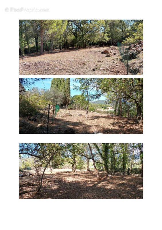 Terrain à SAINT-PAUL