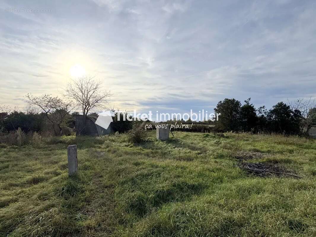 Terrain à MONDONVILLE