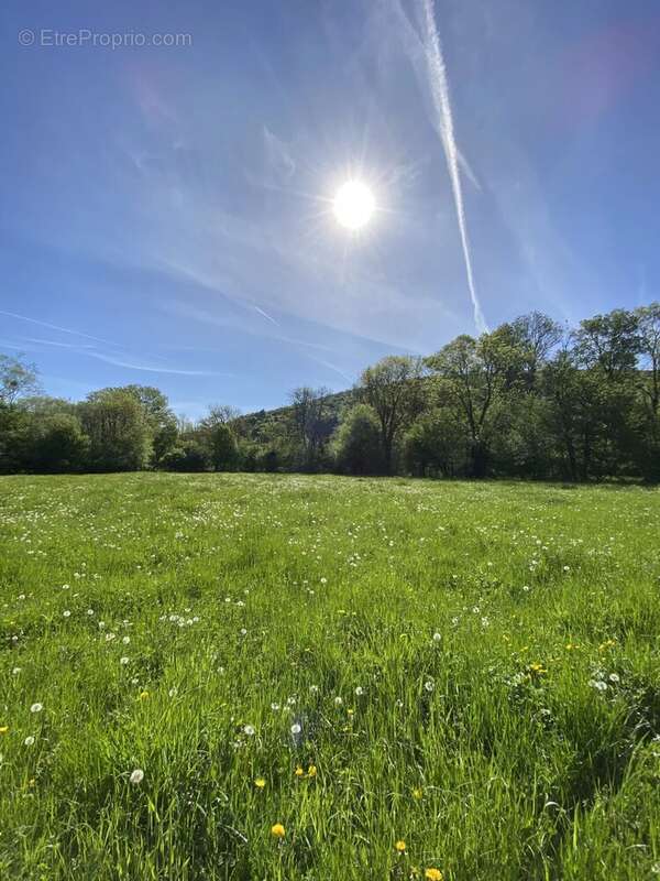 Maison à GISSEY-SUR-OUCHE