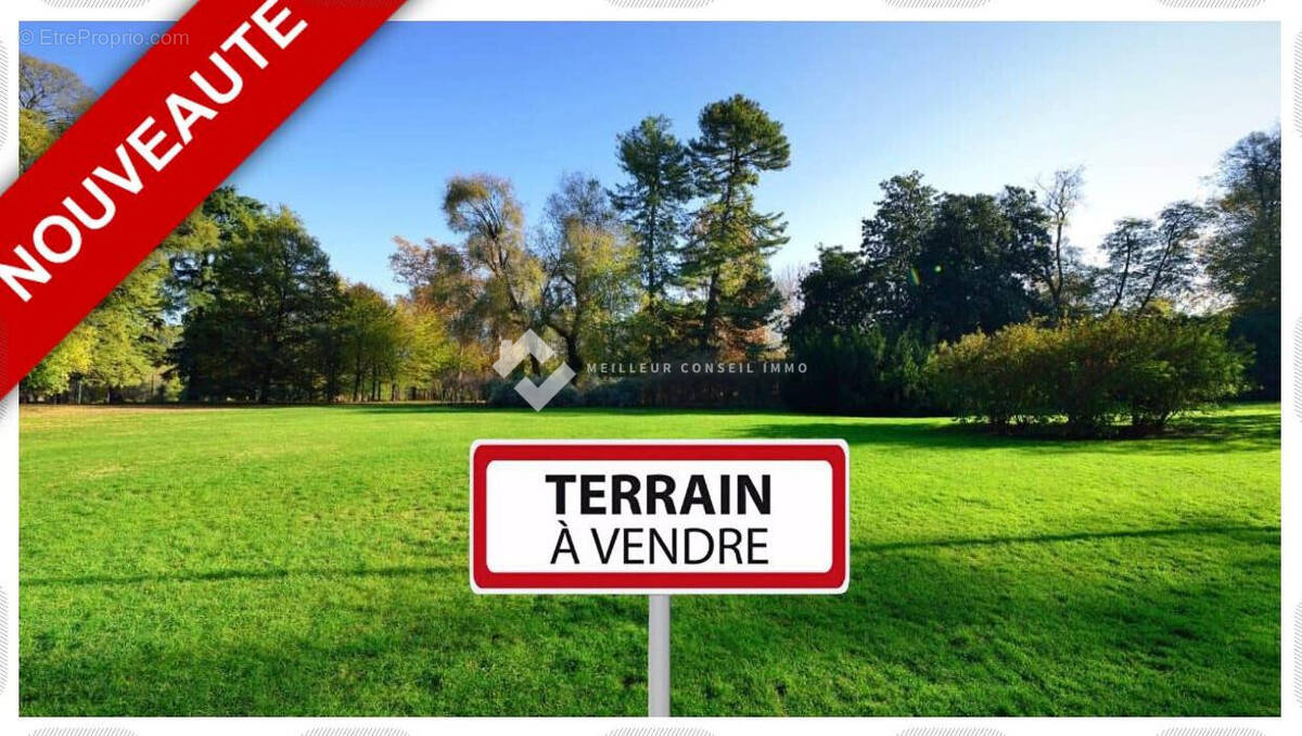 Terrain à DAMPMART