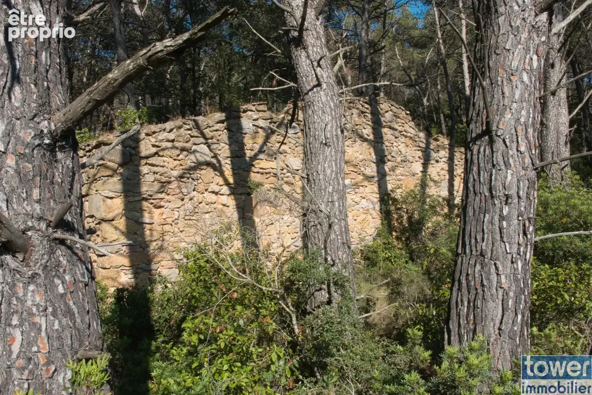 Fabrezan-Terrain 4 ha non constructible en Zone Naturelle - photo 9