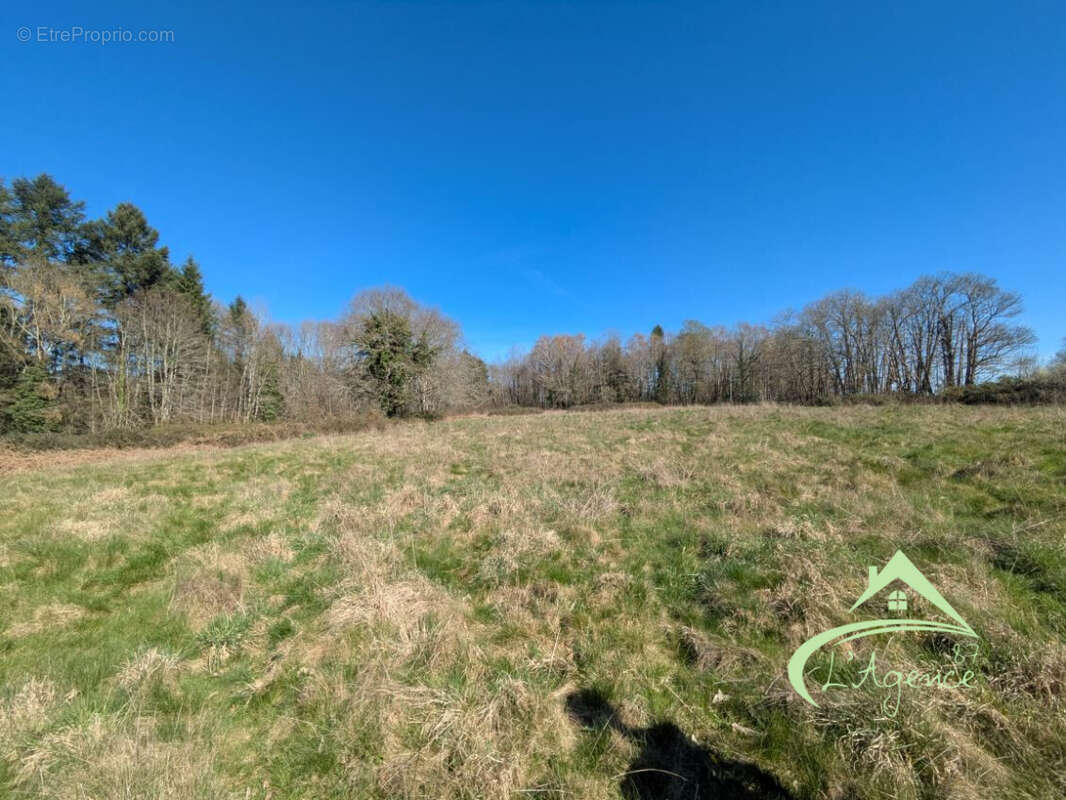 Terrain à VAYRES