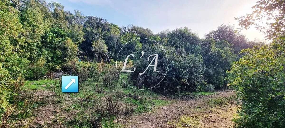 Terrain à COTI-CHIAVARI