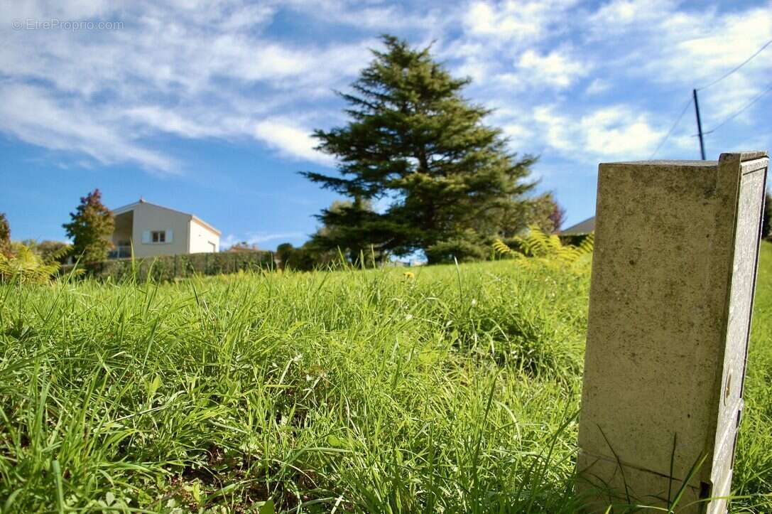 Terrain à MIRAMBEAU