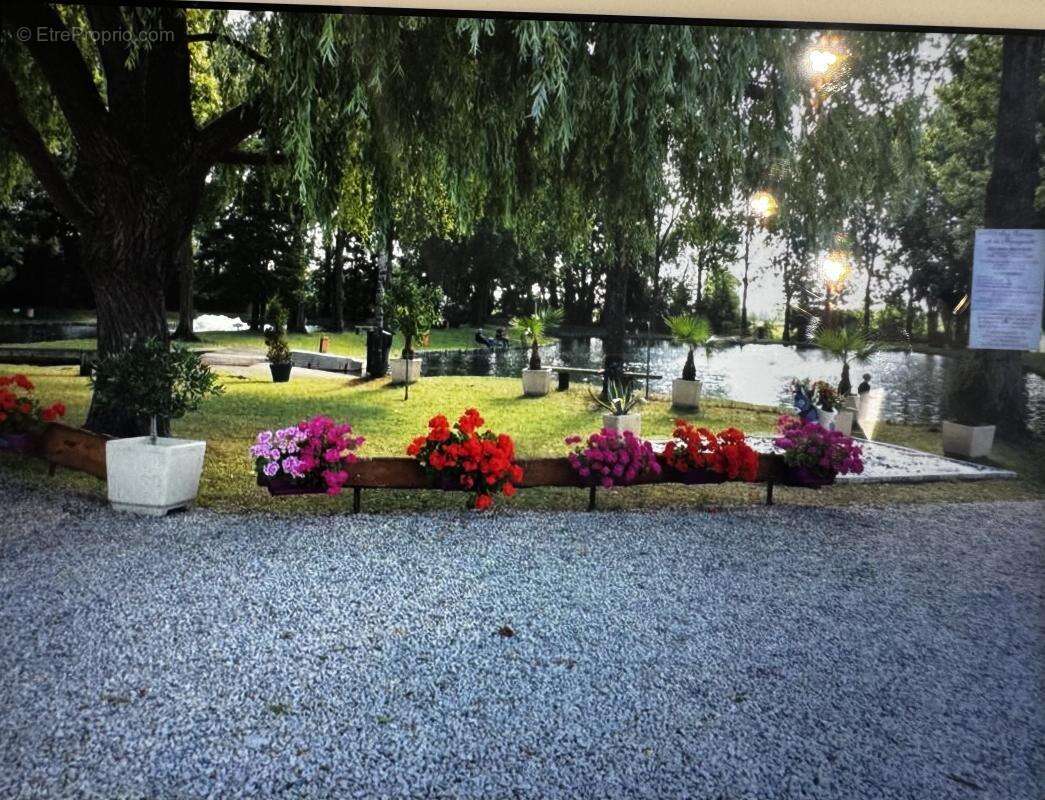 Commerce à ESCAUTPONT