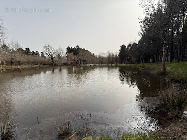 Terrain à SAINT-AIGULIN