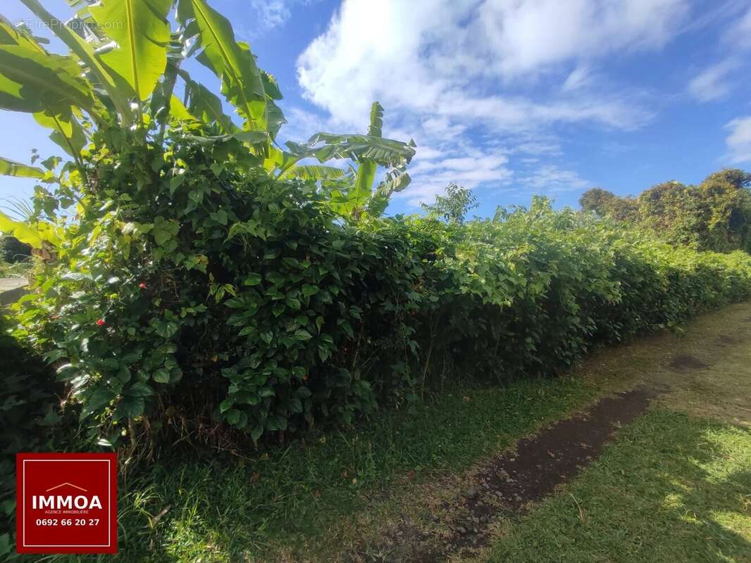 À VENDRE – Terrain constructible de 400 m² – Sainte-Anne, Chemin du Cap ( 97437) - photo 1