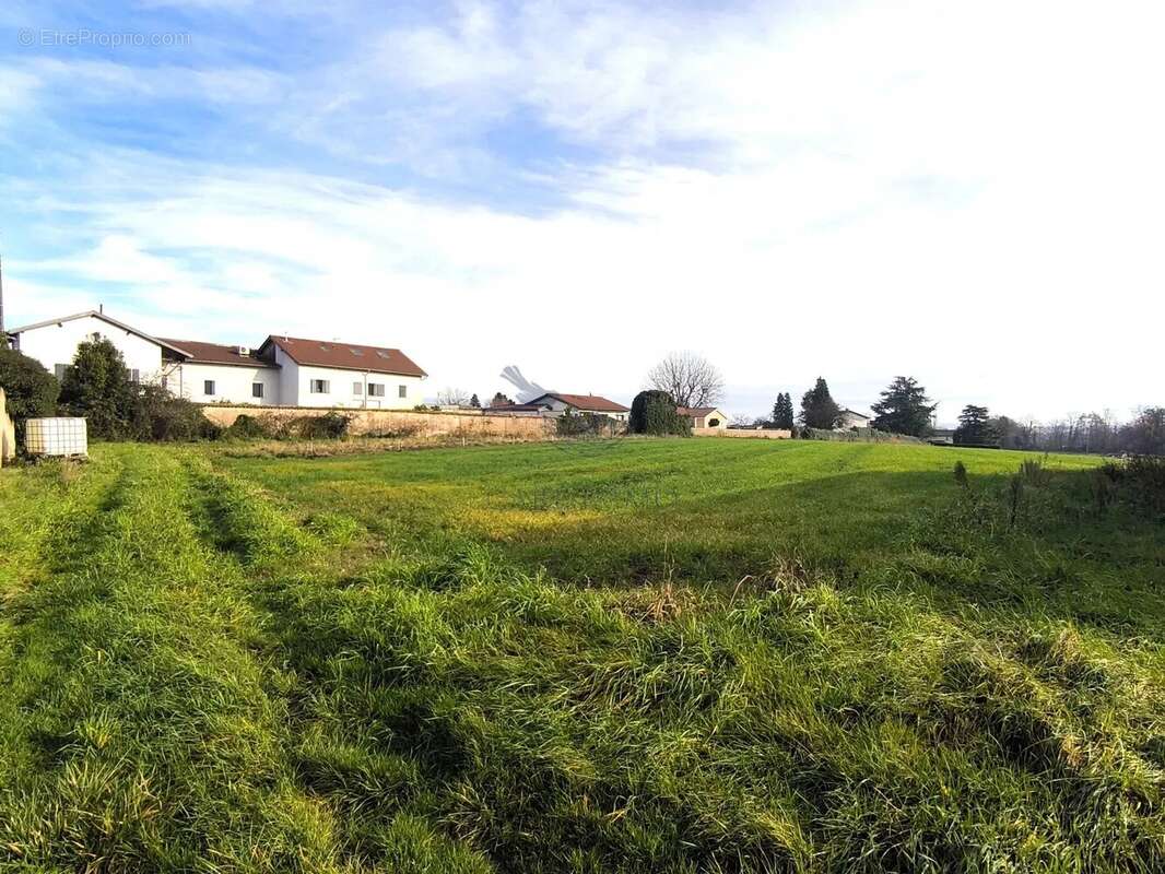 Terrain à SAINT-GEORGES-DE-RENEINS