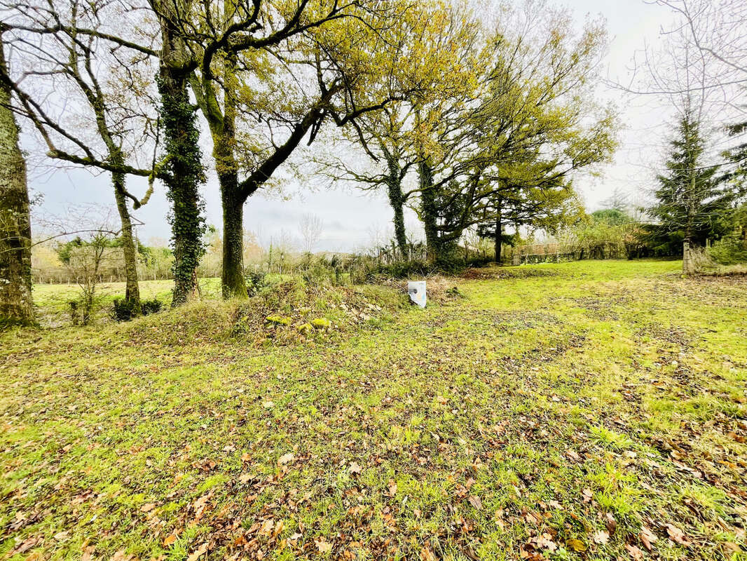 Maison à AVAILLES-LIMOUZINE