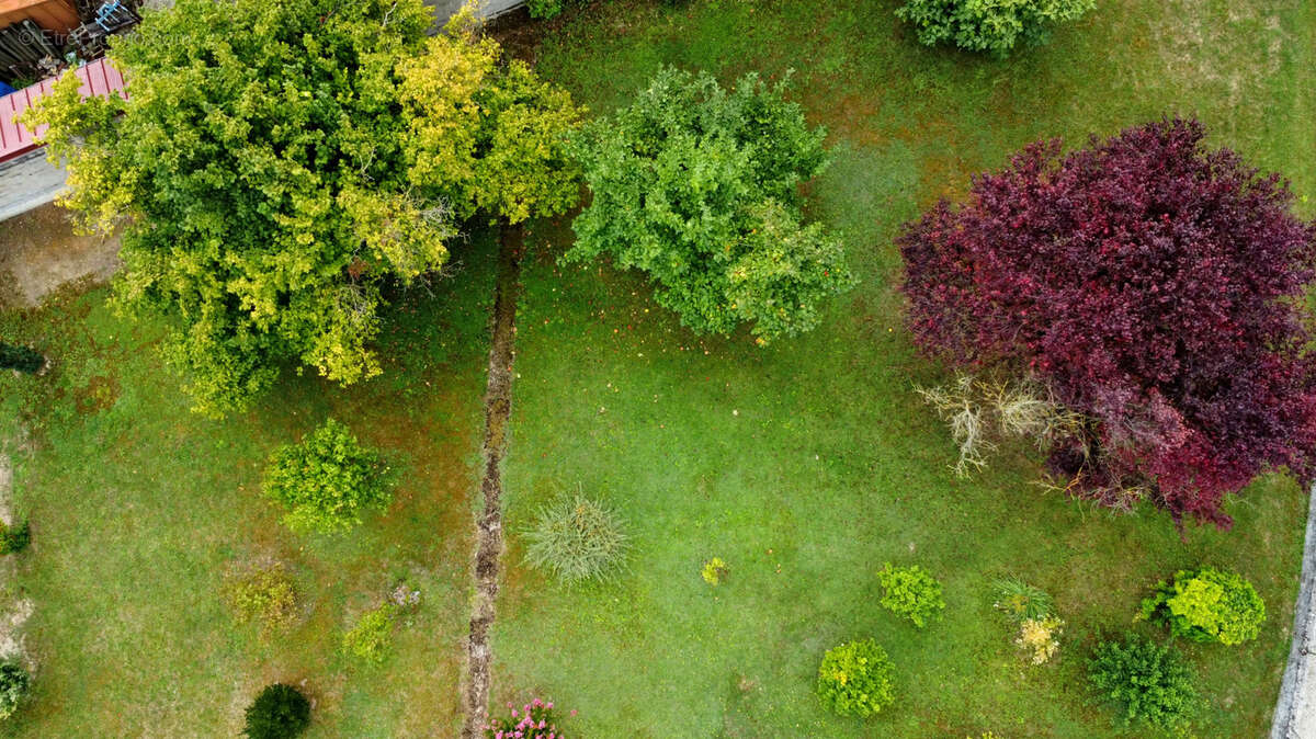 Saint-lye, terrain constructible. - photo 5