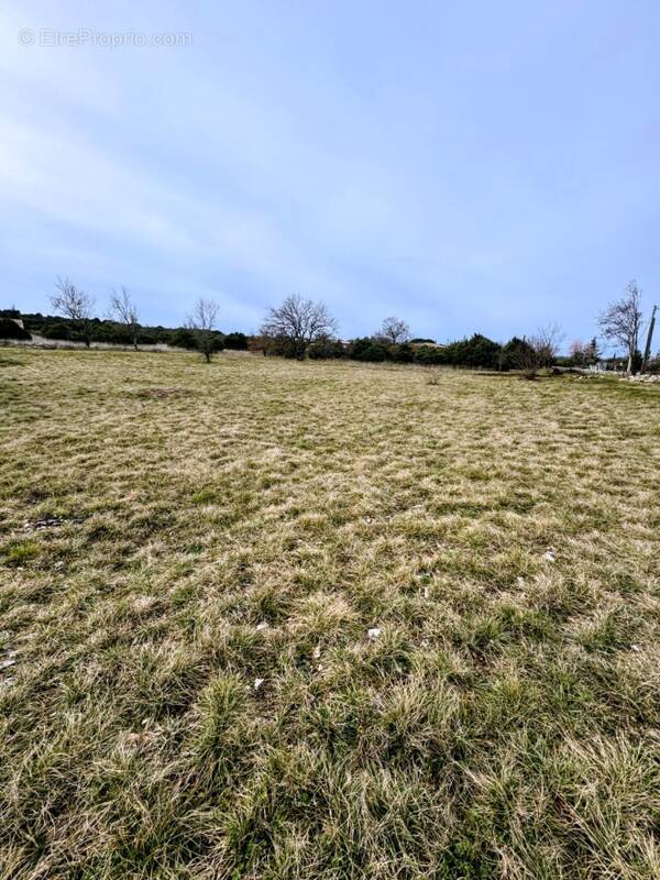 Terrain à SAINT-REMEZE