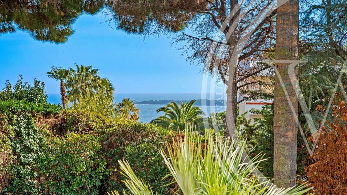 Maison à CANNES