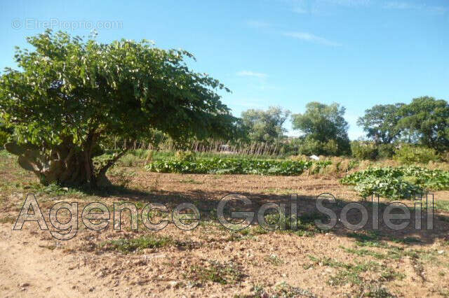 Maison à CAZOULS-LES-BEZIERS