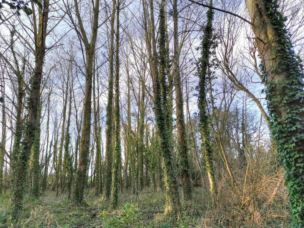 Terrain à LAMBALLE