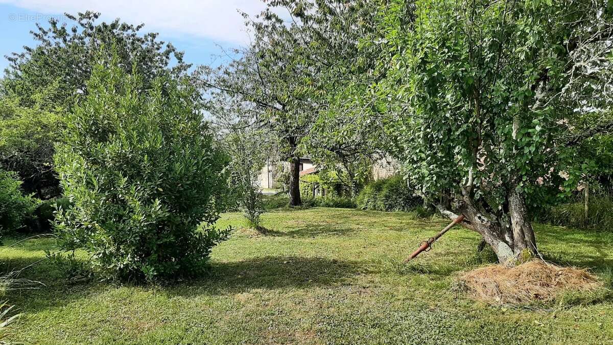 Maison à BORS(CANTON DE MONTMOREAU-SAINT-CYBARD)