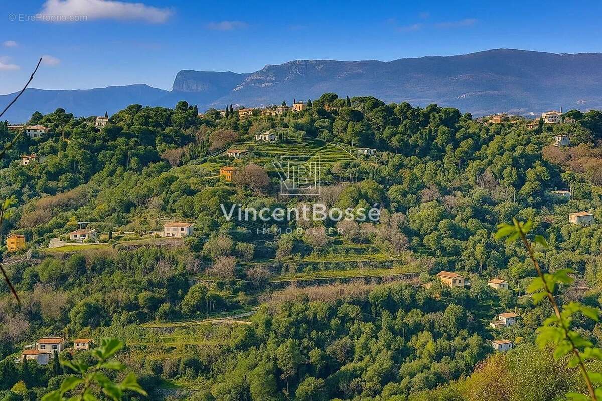 Nice – saint-pancrace – terrain constructible d’environ 5 000 m² – exclusivité - photo 2