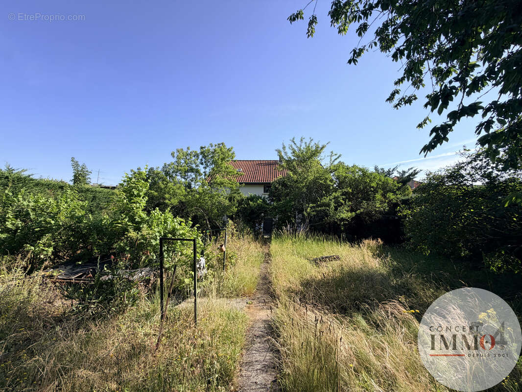 Gondreville - exclusivité - photo 21