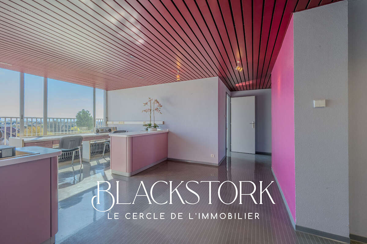 Local professionnel - strasbourg roberstau - vue degagee - photo 3