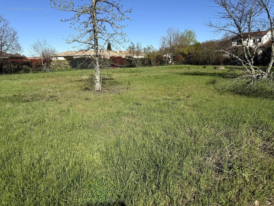 Photo 1 - Terrain à PLAISANCE-DU-TOUCH